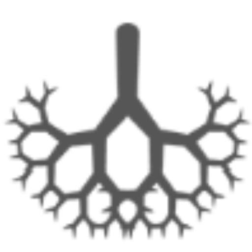 MultiMed MultiMedWeb